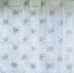 Star Madras Lace Curtain - 44-P