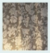 Jacobean Madras Lace Curtain & Yardage - 105-Y